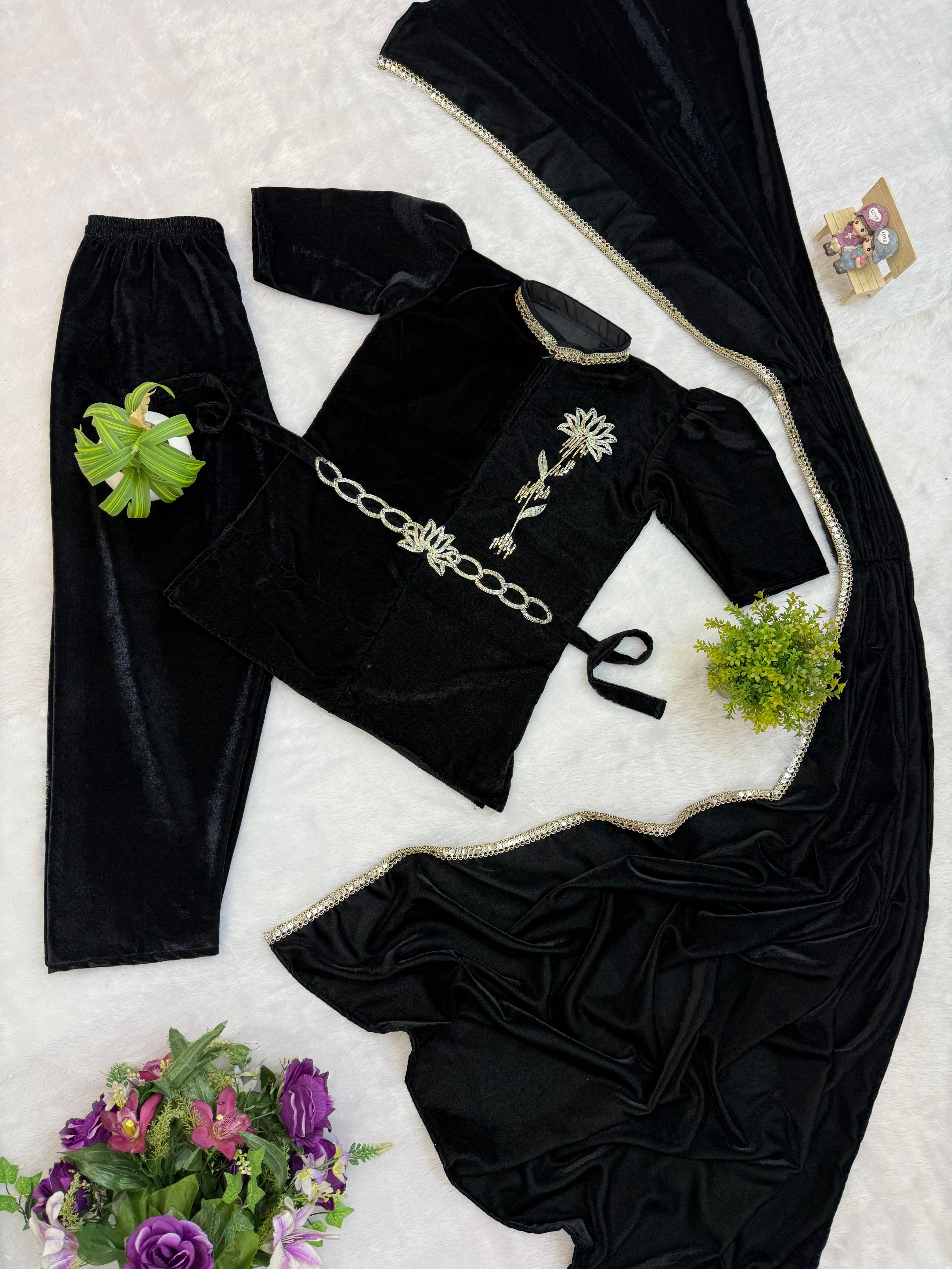 Indo-Western Embroidered Velvet Saree Set Indo-Western Embroidered Velvet Saree Set