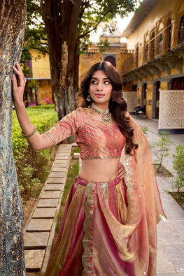 Carika Silk Embroidered Lehenga Choli Set – 2026 Collection
